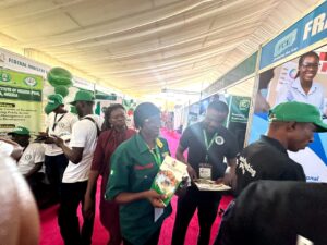 Frandek Consulting driving excellence in service delivery across the Nigerian Public Service.