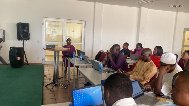 Dr Francessca Odeka Handholding Core Team Members of FMSD on the use of the PMS IT solution