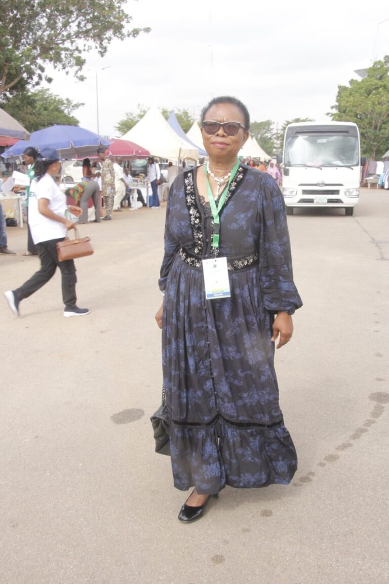 Dr Francisca Odeka, MD Frandek International Consulting Ltd at the  The Federal Civil Service,  International Civil Service Week . Dr Odeka was a Panelist