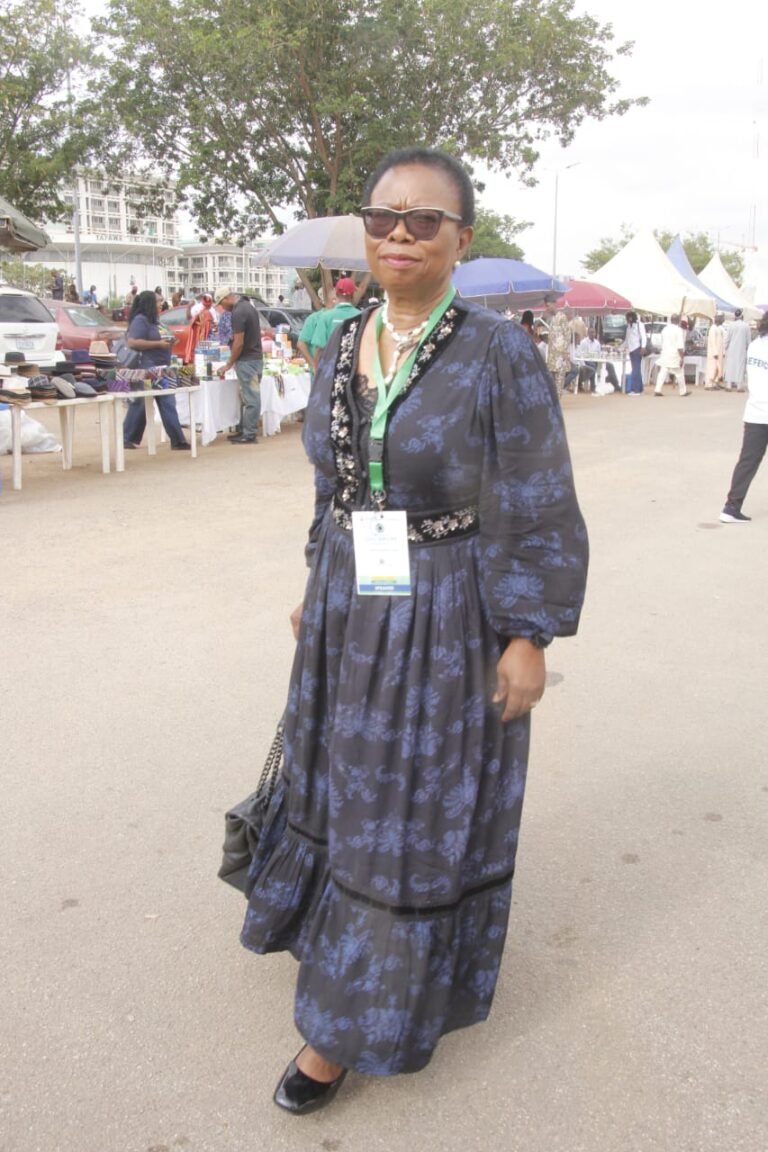 Dr Francisca Odeka, MD Frandek International Consulting Ltd at the The Federal Civil Service, International Civil Service Week . Dr Odeka was a Panelist