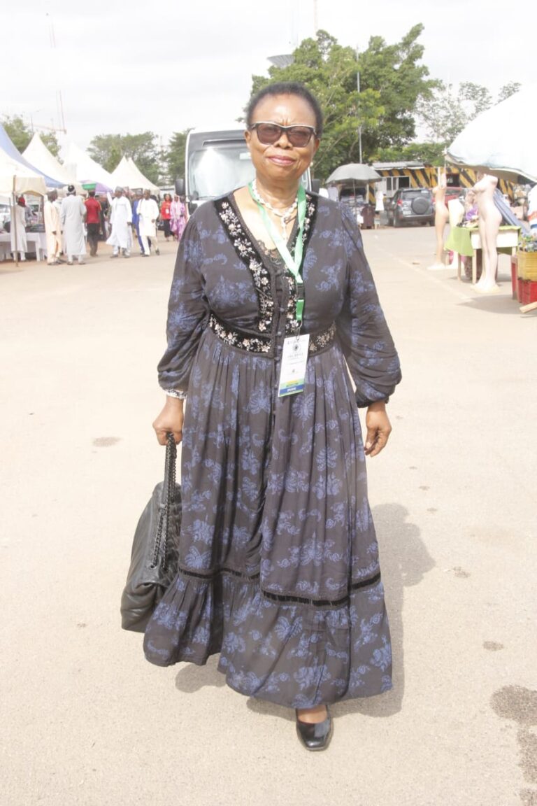Dr Francisca Odeka, MD Frandek International Consulting Ltd at the  The Federal Civil Service,  International Civil Service Week . Dr Odeka was a Panelist