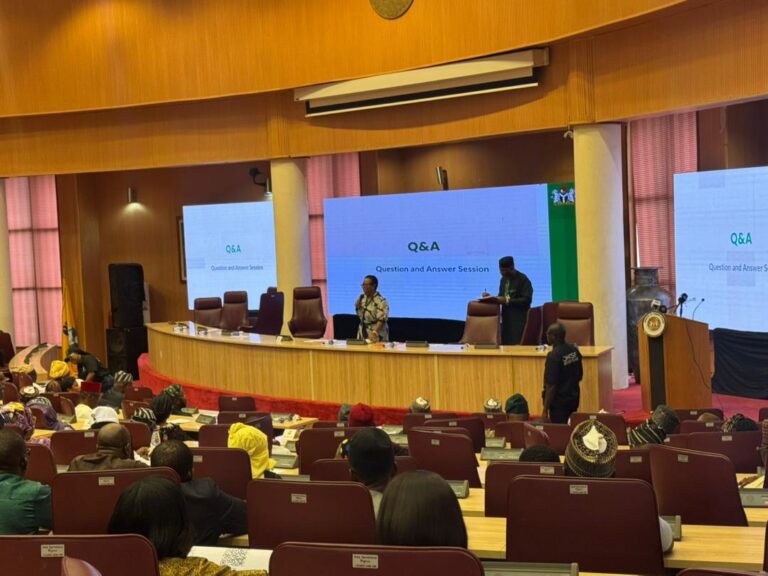 Dr. Fransisca Odaka carrying out Mentoring Training/Presentation at Office of the Head of Civil Service of the Federation