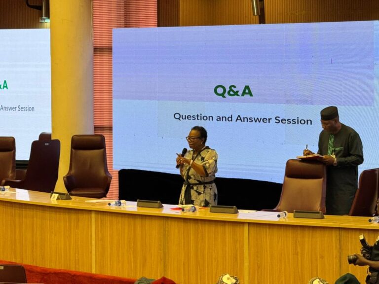 Dr. Fransisca Odaka carrying out Mentoring Training/Presentation at Office of the Head of Civil Service of the Federation
